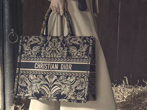 dior book borsa|Dior Book Tote Review: A Full Pros & Cons List .